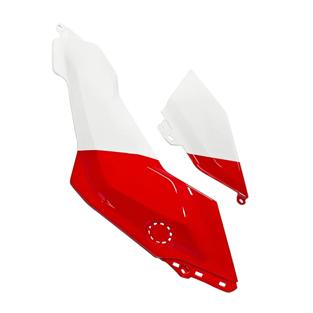 Injection ABS Plastic Bodywork Fairing Kit BMW R1300GS 2024-2025 06#