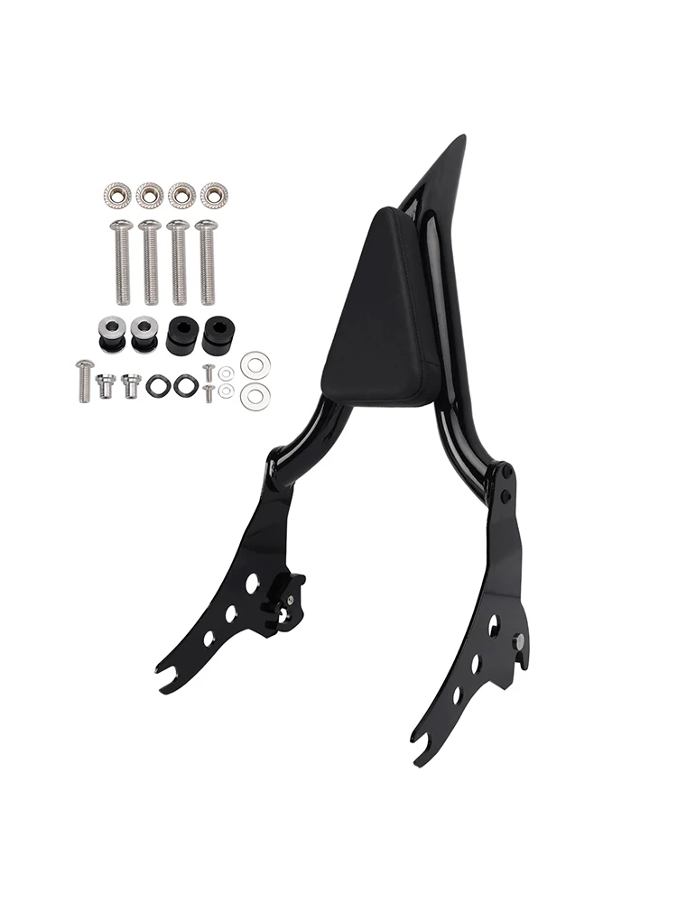2018-2020 FXBB 107 Passenger Sissy Bar-ryggstøtte