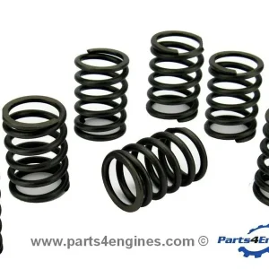 Volvo Penta D2-75 Valve Spring Set (3580964)