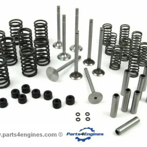 Perkins 4.99 Valve Train Overhaul Kit